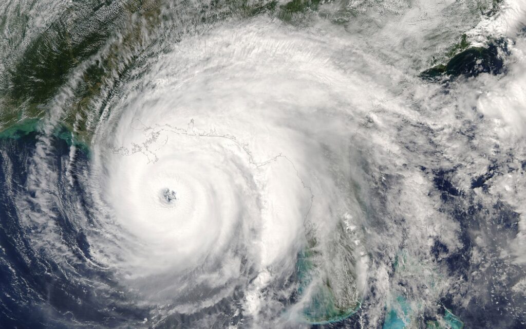 Catastrophe Claims Adjuster
